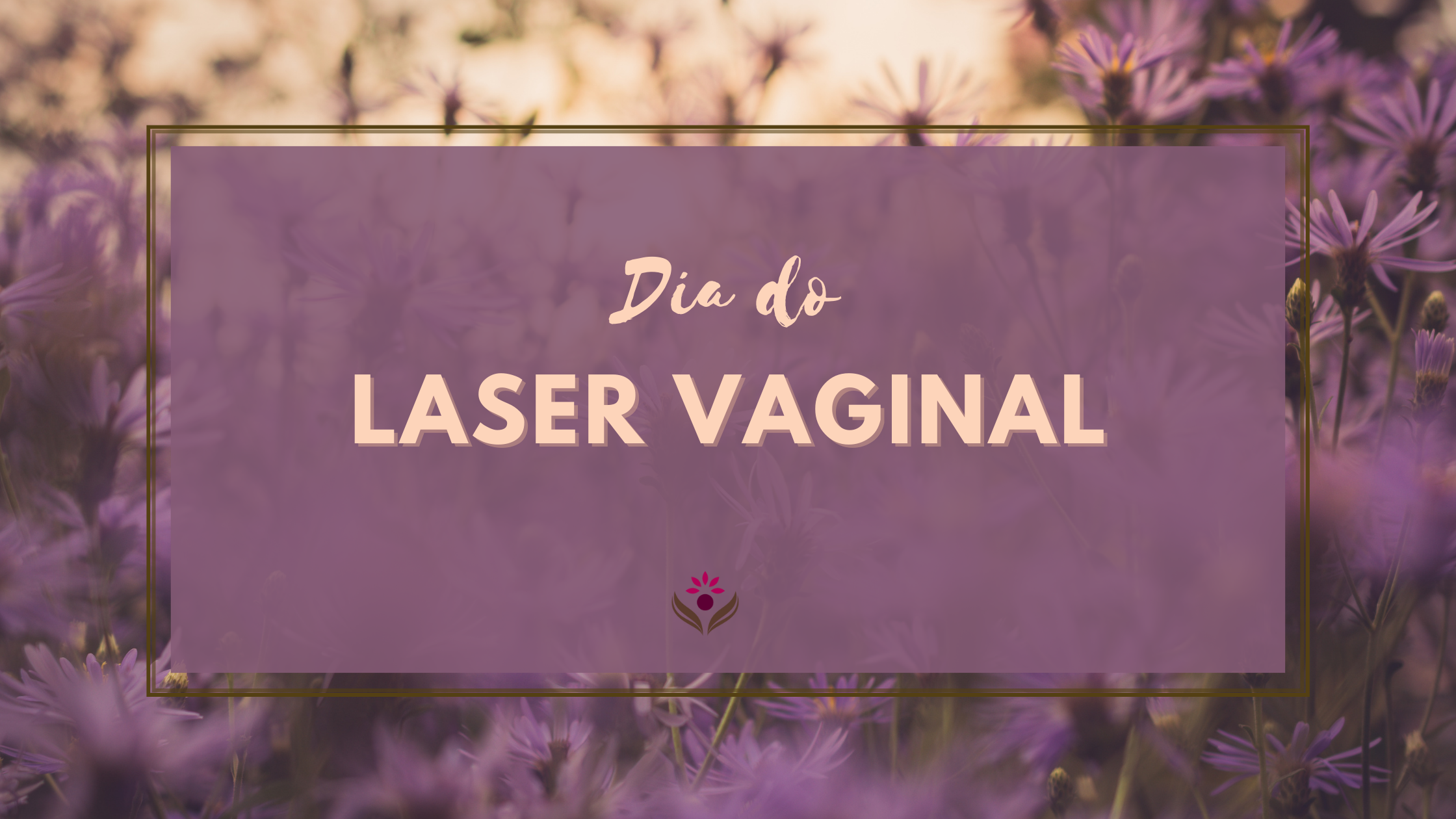 dia do laser vaginal